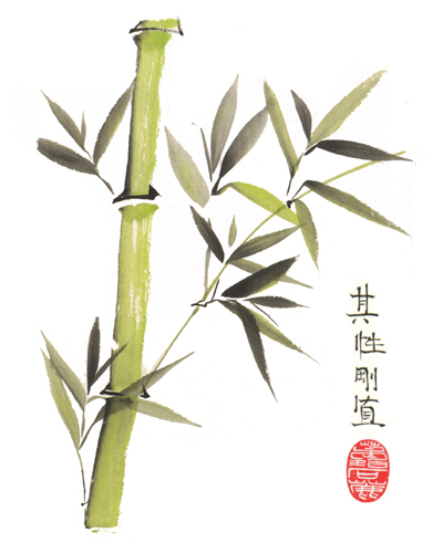 chinesischer bambus